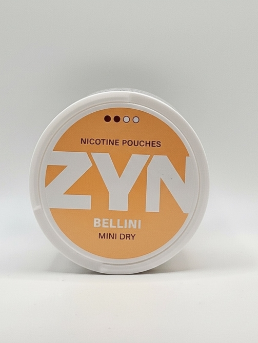 WhatsApp Image 2026-03-10 at 4.49.09 AM