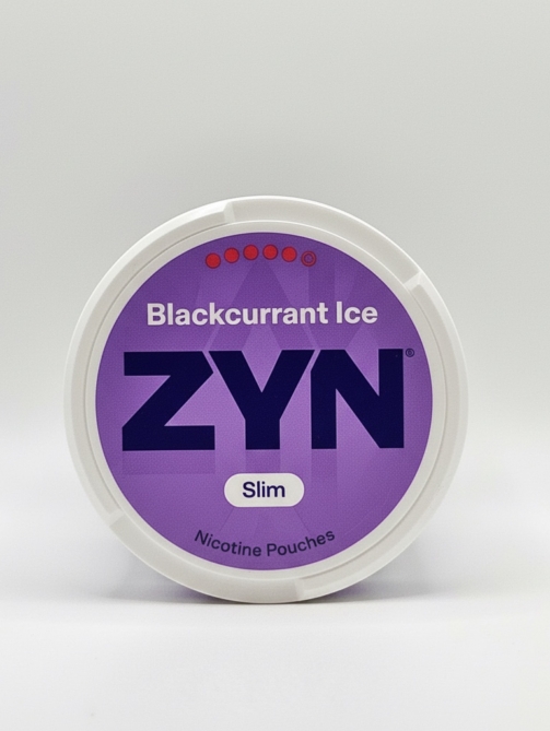 WhatsApp Image 2026-03-10 at 4.49.10 AM (2)